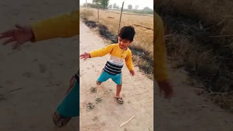 Vlog child and dogs funny #rudrakrishna #shorts #trending #vlog #ytshorts #reels #dogpets