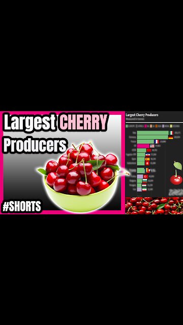 World's Largest CHERRY Producers | #Shorts 🍒 📊