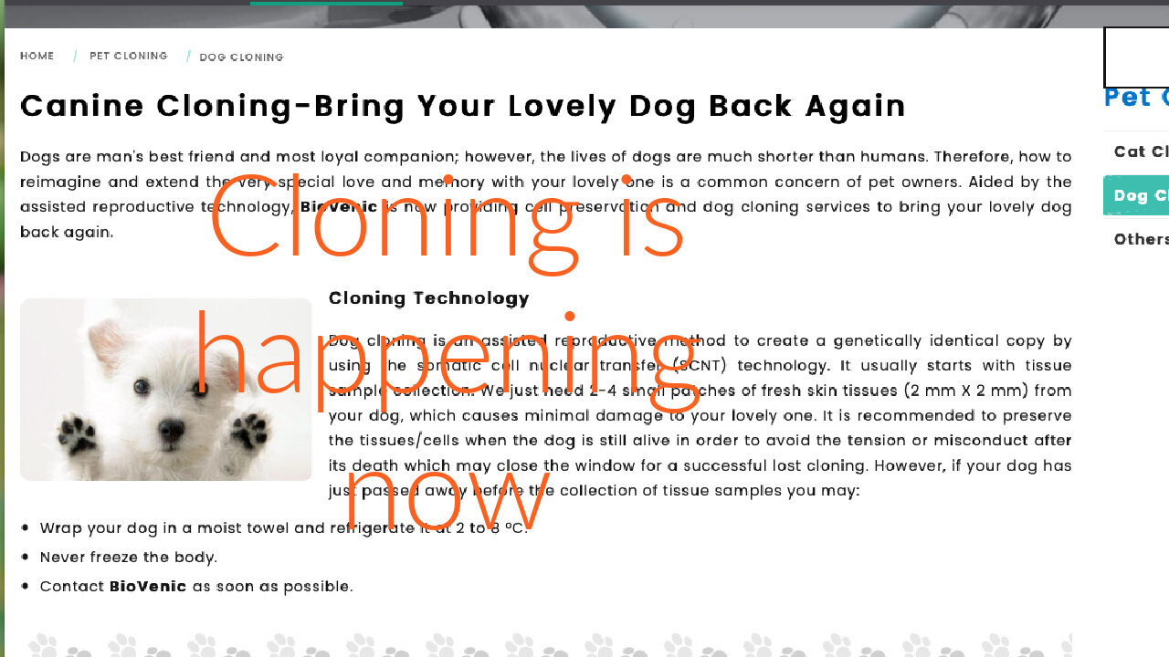 Cloning and A.I. (artificial Intelligence)- Beverly Hills Housewife Clones dog