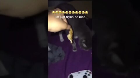 it's #the #one #and #only #xbox D-O double G no #ps5 #memedodoubleg