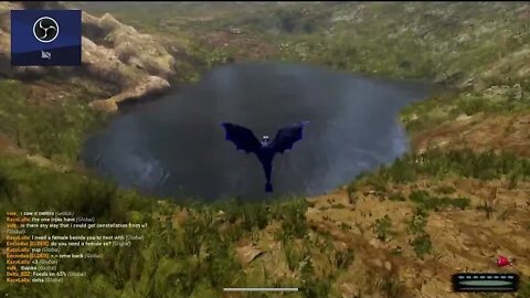 Dragons..... Lets try this out!!