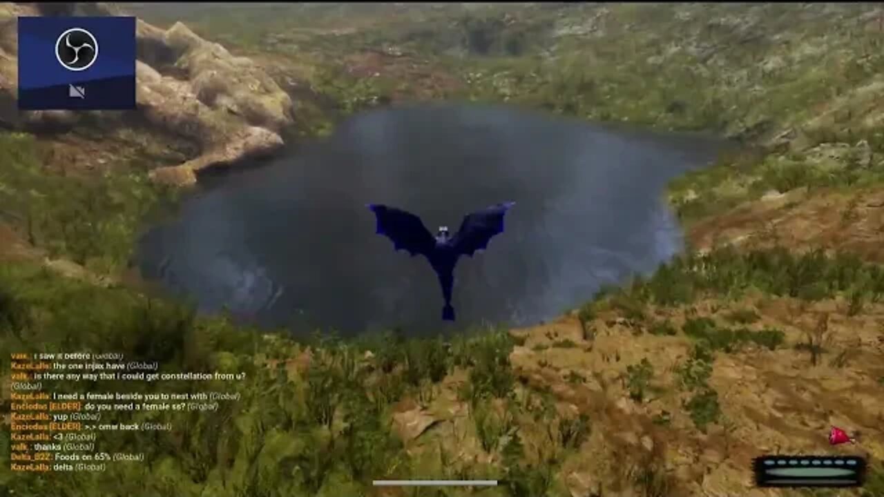 Dragons..... Lets try this out!!