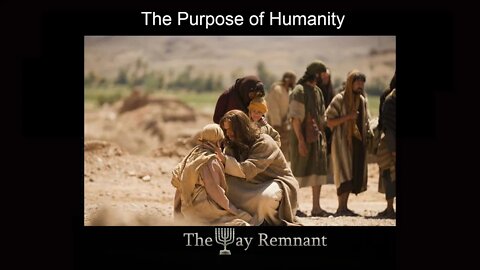 The Purpose of Humanity