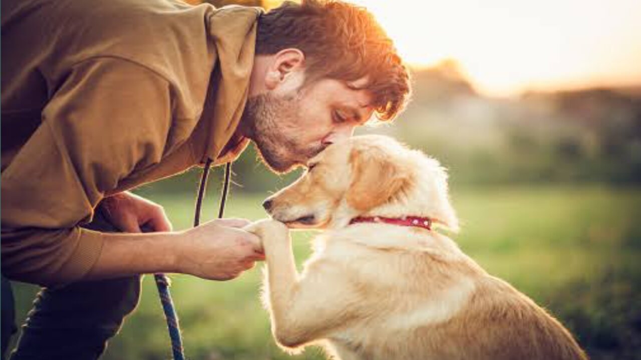 Great Puppy Loves The Owner | Cute Dog Is Definitely Love Owner