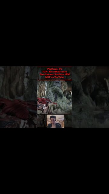 Warframe Sassy Ordis