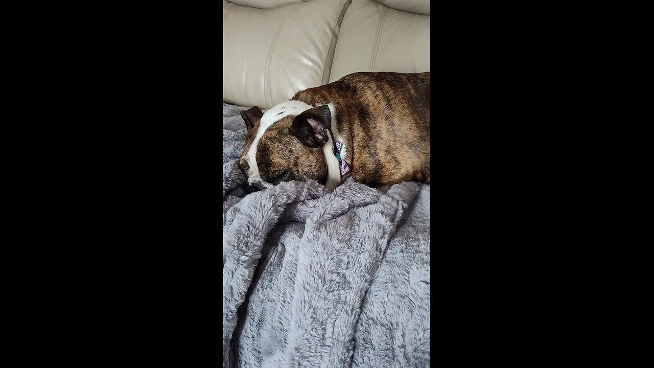 Snoring is real!