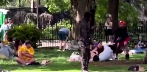 Unhinged Woman Attacks Mother, Baby and Others In NYC