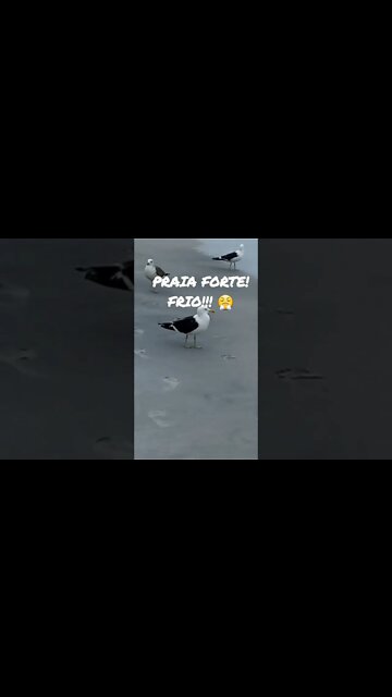 Cabo Frio [ Praia do Forte] O tempo virou! #shorts #riodejaneiro #besttravelbeaches