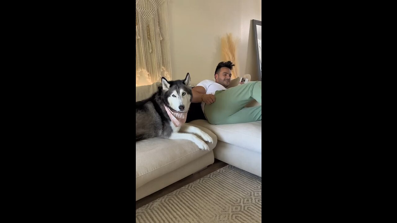 🤣🤣🤣🤣
