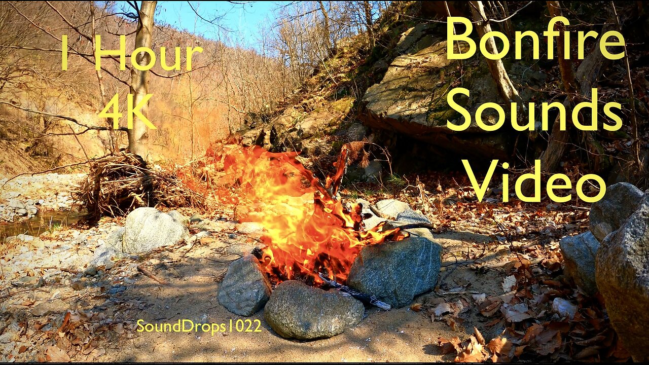 1-Hour Bonfire Sound Meditation | Campfire Ambience for Deep Relaxation