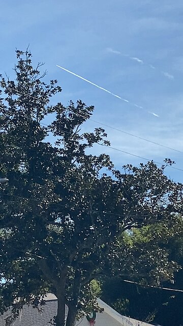 Get on your "Detox Regimine"