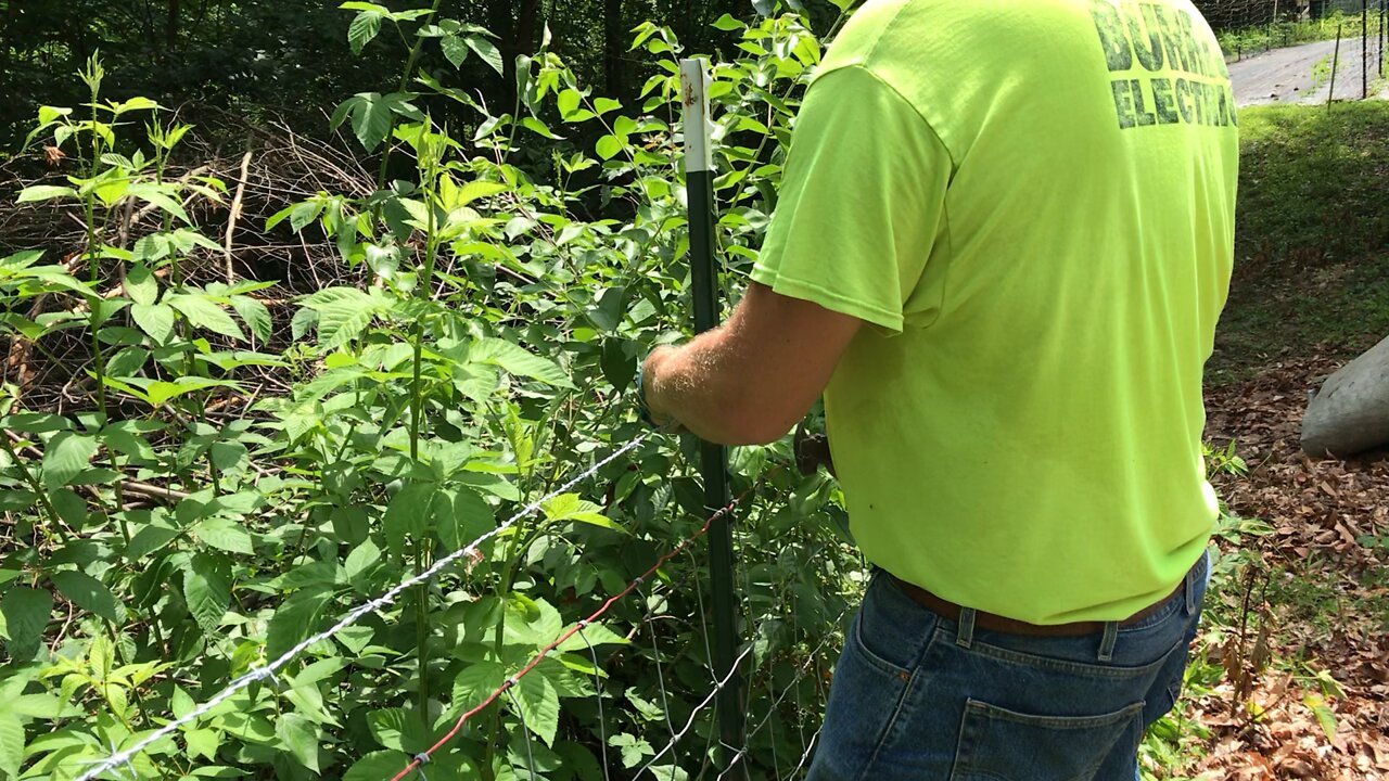 Putting up Barbwire today