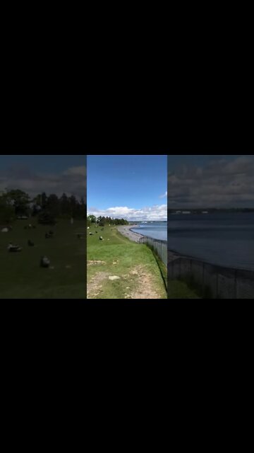 Point Pleasant Park water