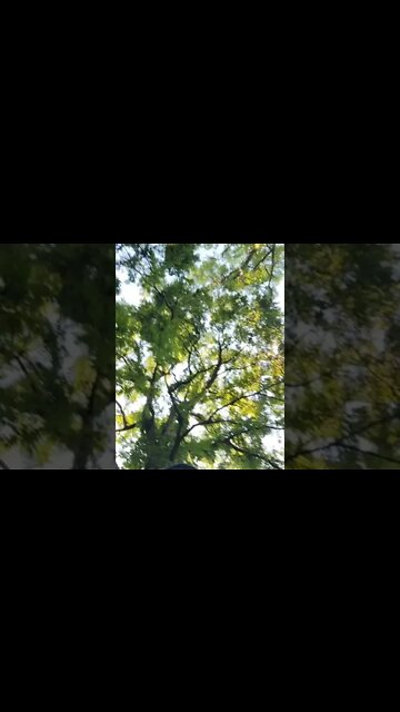 Ninja Gamer Drinks Water On a Bike Ride God Send | GBYAA