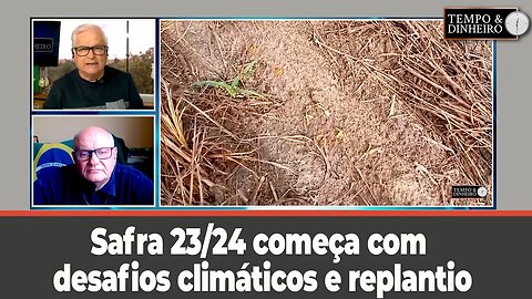 Safra 23/24 começa com desafios climáticos e replantio, como mostra o produtor Moacir Guarnieri