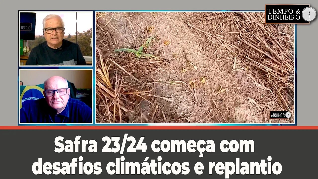 Safra 23/24 começa com desafios climáticos e replantio, como mostra o produtor Moacir Guarnieri