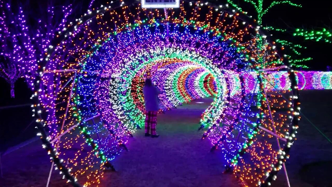 Scentsy Christmas Lights 2019 by Highboy