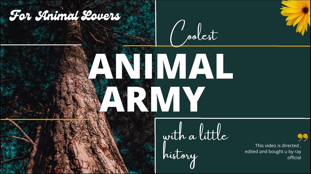 " Coolest Animal Army , For Animal Lovers With A Little History " #animalarmy