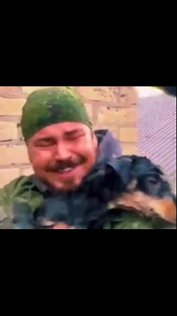 Dog saved in Orenburg floods