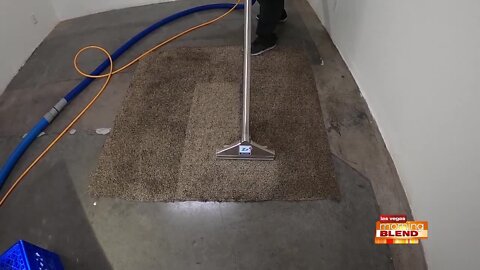 Now's The Best Time To Get Your Carpets Cleaned