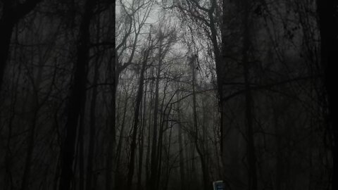 Grey Tones tiktok chrissdvdsn