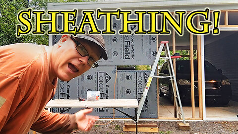 SHEATHING THE BACK WALL! - Carport to Garage Conversion pt 4