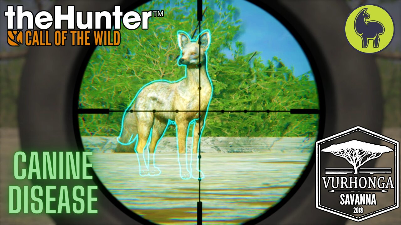 Canine Disease, Vurhonga Savanna | theHunter: Call of the Wild (PS5 4K)