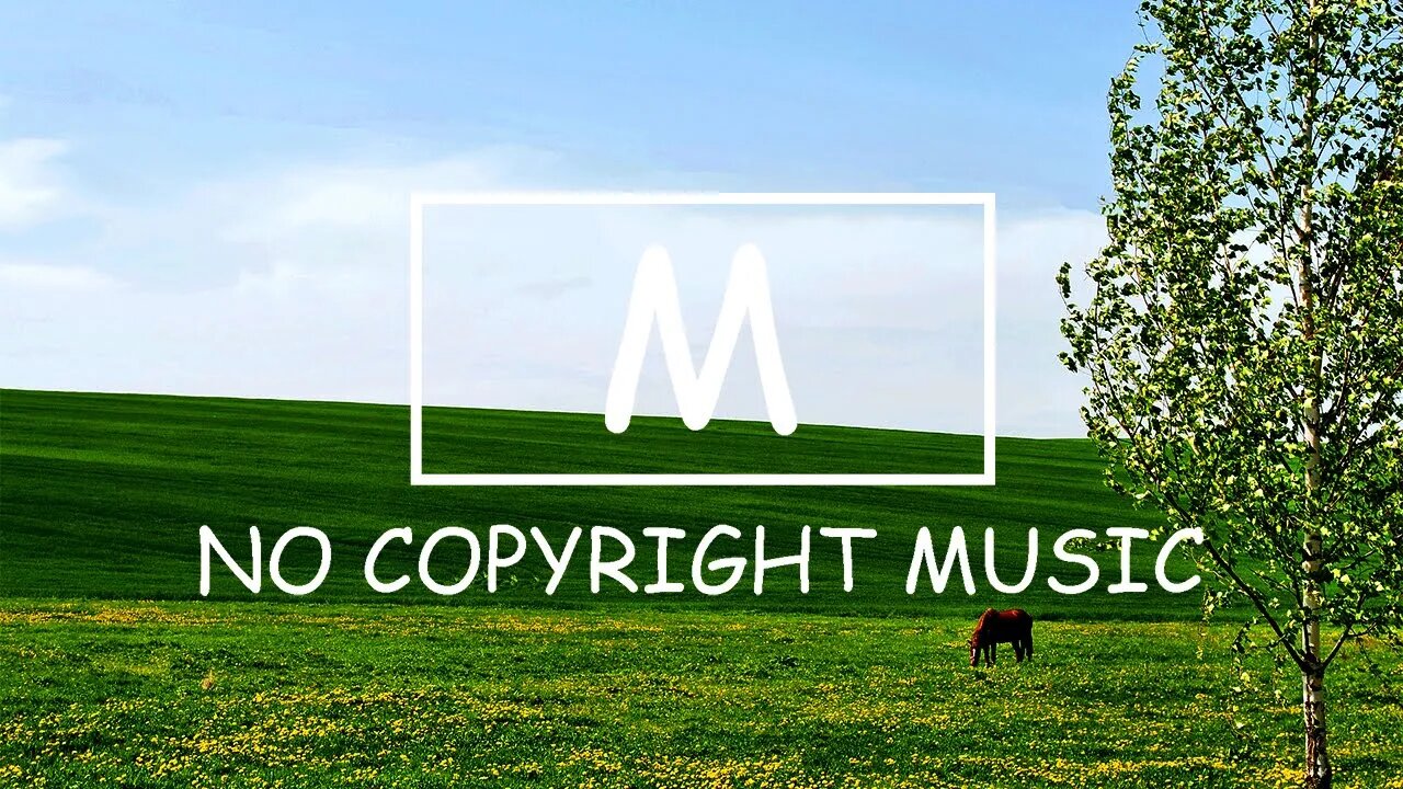Markvard - Invisible Love（Mm No Copyright Music）