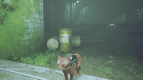Stray part 4
