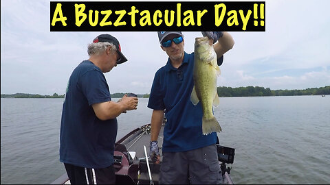 Buzzin’ & Shakin’ For Hot July Bass!!! #bassfishing #topwater #summerfishing