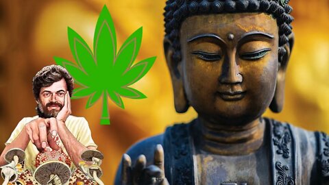 Terence McKenna - Buddhism, Shamans, and Cannabis