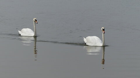 Jamaica Bay Wildlife Refuge (April 2023)