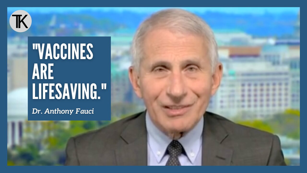 Dr Fauci Doesn't 'Have a Clue’ What DeSantis Is Investigating