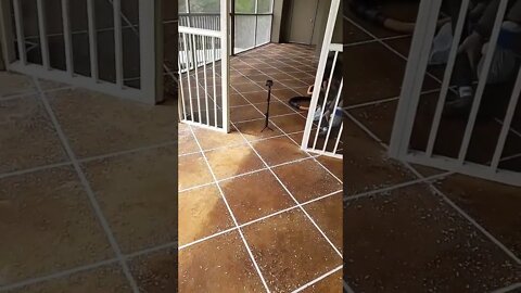 How to Resurface Concrete diy 👷‍♂️ #shorts