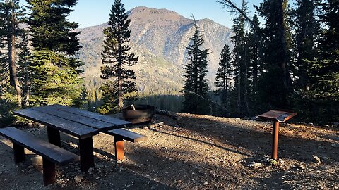 WALK-IN CAMPSITES #22 & #23 REVIEW @ Mount Rose Campground! | 4K | Nevada | North of Lake Tahoe