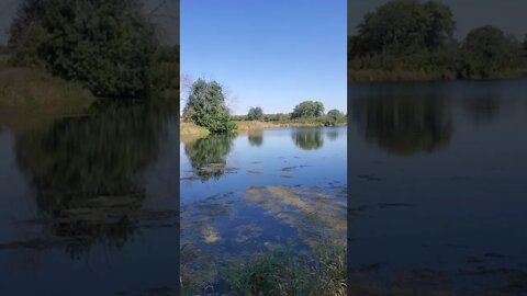 beautiful pond.