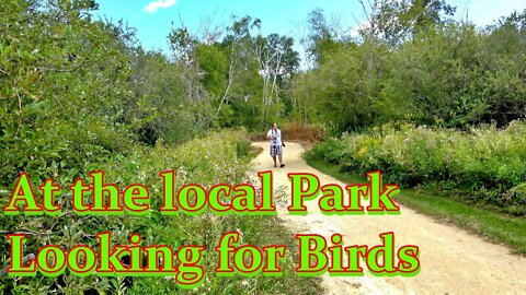 At the Local Park Looking for Birds The Outdoor Adventures Vlog#1859