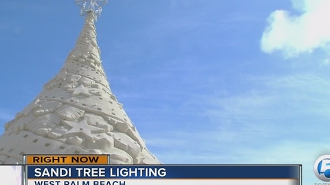 Sandi Tree lighting