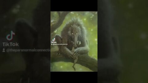 El Chupacabra