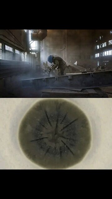 A break in the food chain = extinction 😳