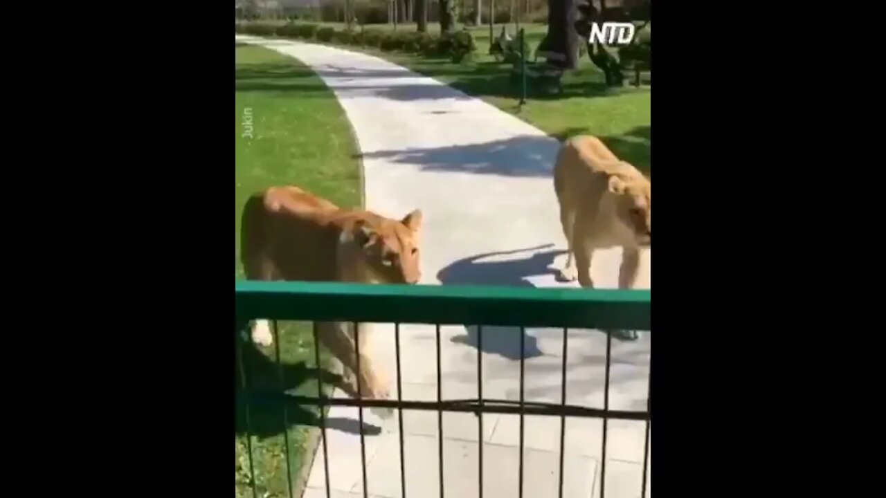 Hello Darkness my Old Friend, I come to talk with you again