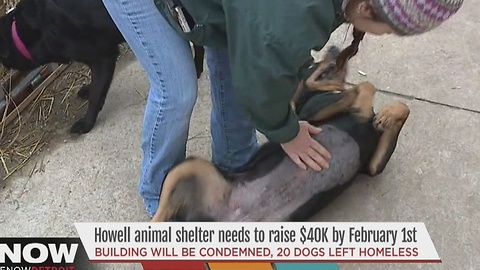 Howell animal shelter needs to raise money