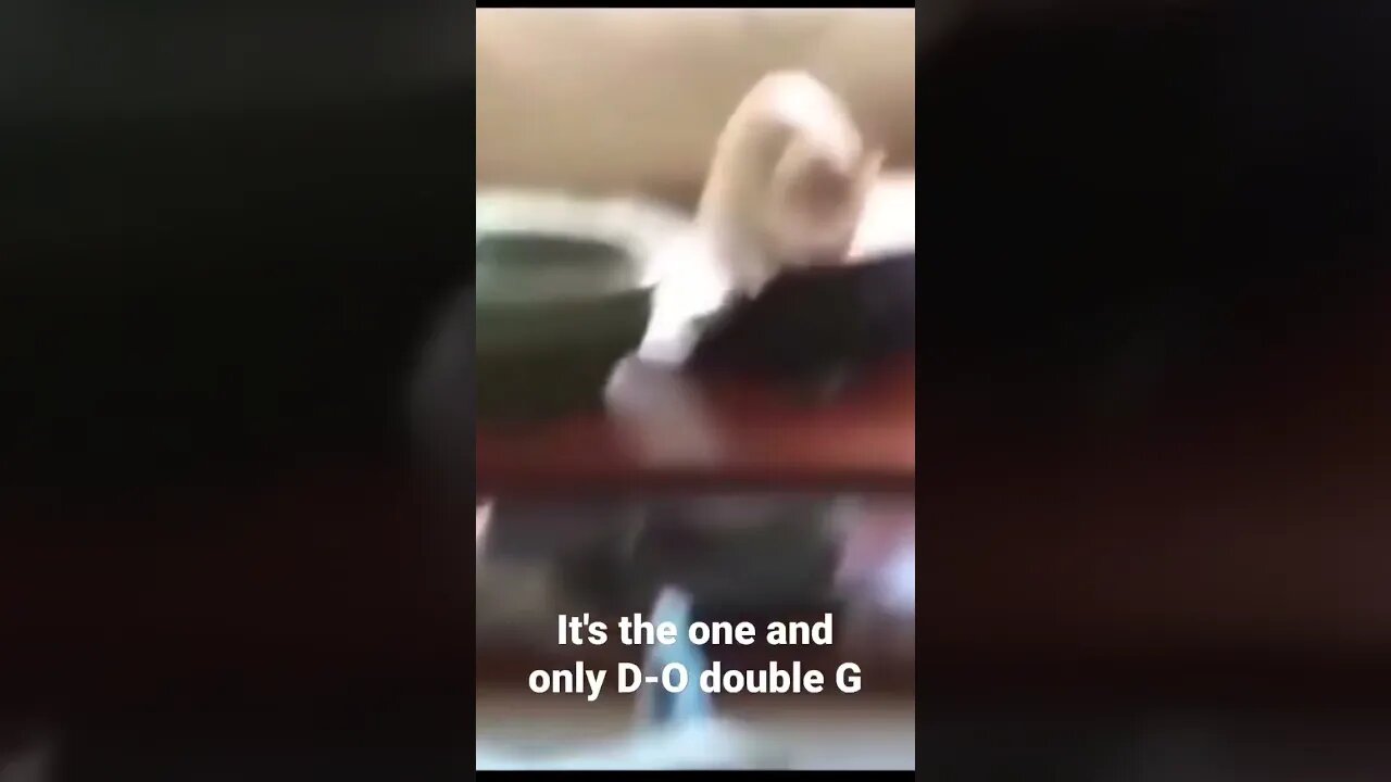 It's the one and only D-O double G #shorts