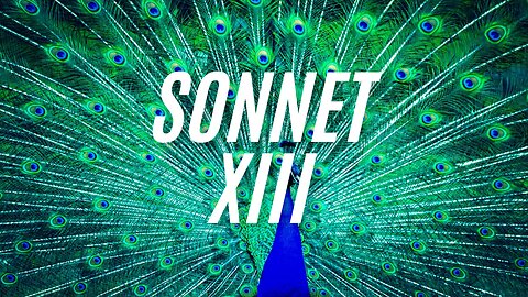 Sonnet XIII from 'The Assent' sonnet sequence - long poem by R.C.Appleton.