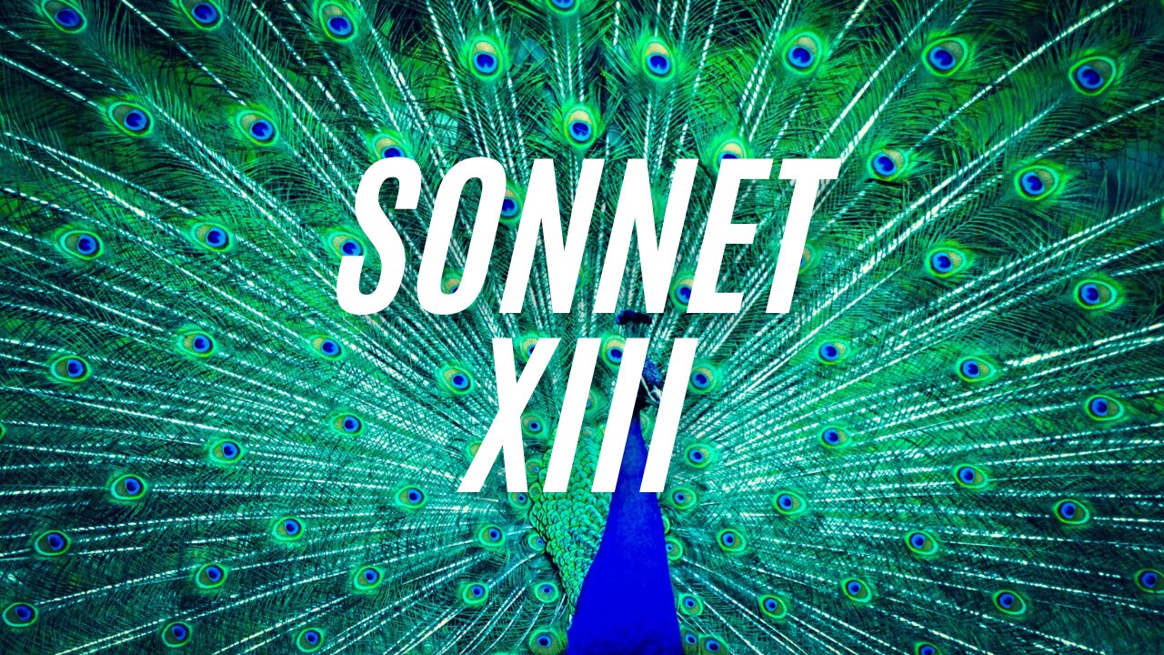 Sonnet XIII from 'The Assent' sonnet sequence - long poem by R.C.Appleton.