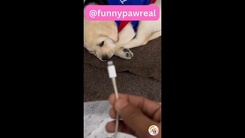Now i am full charge