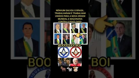 Booooi Boi! Você é Gado mesmo não abrindo esse video-GADOOOOOOOOOOOOOOOOOOO MÙ