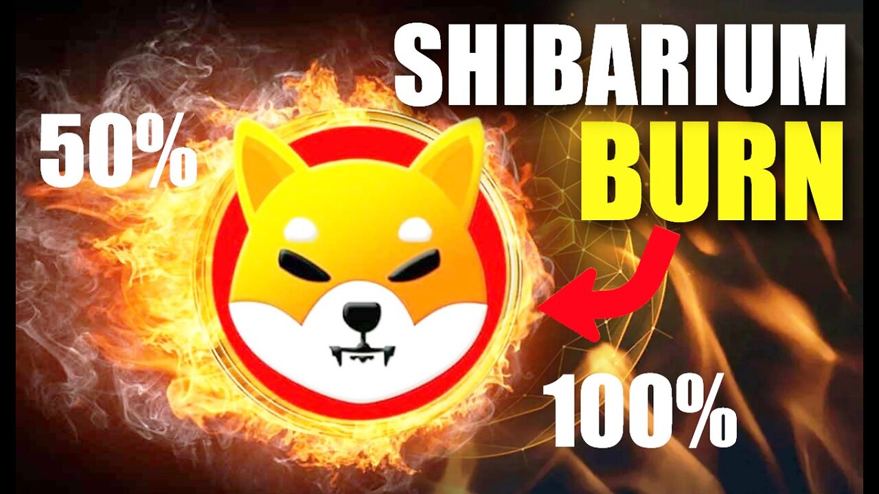 Shibarium BURN Dynamics - How Many Shiba Inu Tokens Would then Burn Upon Shibarium Release?