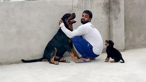 Nut feel jealous when i hug his Father || Nut & Bolt
