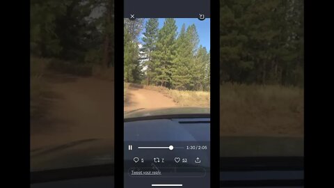 A short drive in Prosser Campground w/ Sf Investigates #kielyrodni #shorts